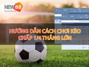 Hướng dẫn cách chơi kèo chấp 1/4 thắng lớn