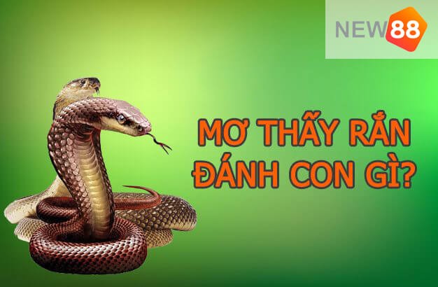Giải mã giấc mơ thấy rắn nên đánh con gì?
