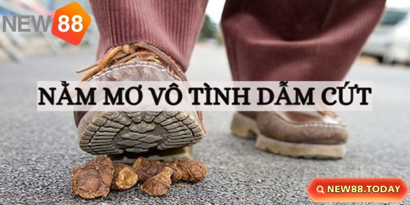 Chiêm bao bản thân lỡ dẫm lên cứt của người khác